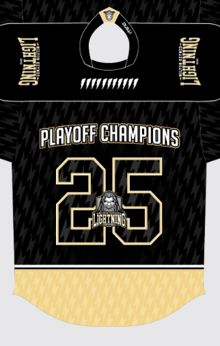Play off champions jersey 24/25